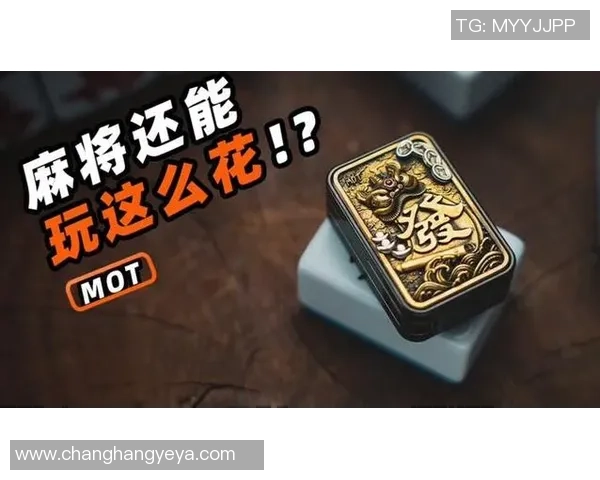 pg麻将胡了2-PG麻将胡了2，策略与乐趣的探索-pg麻将胡了2